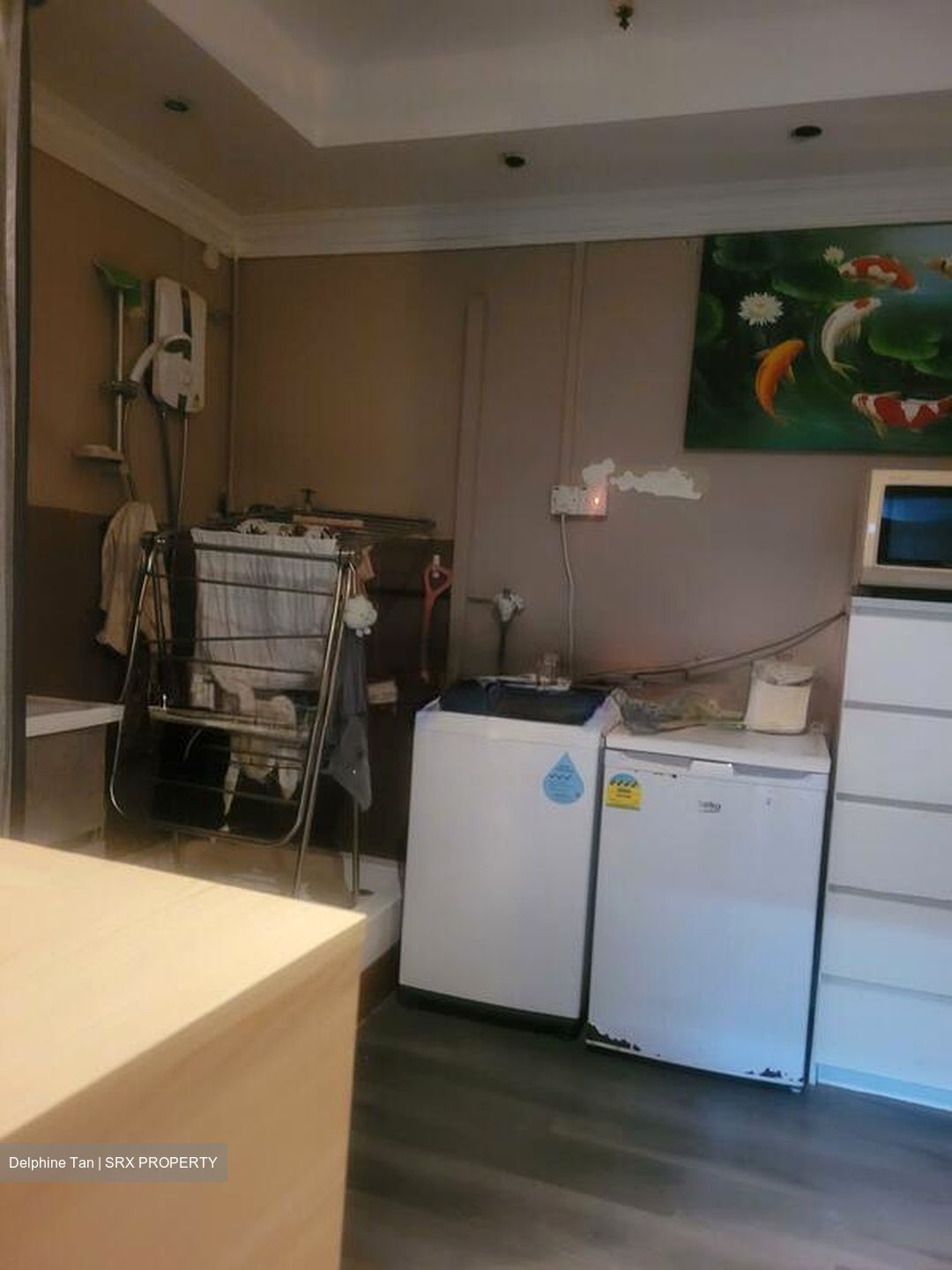 Bukit Timah Shopping Centre (D21), Shop House #505629961